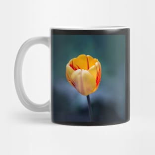 Colorful Tulip Mug